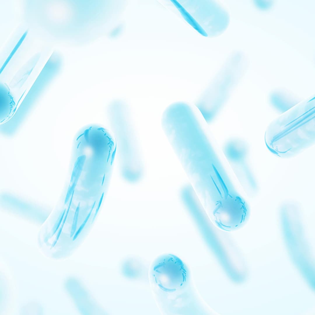 Lợi khuẩn (Lactobacillus Ferment Lysate)