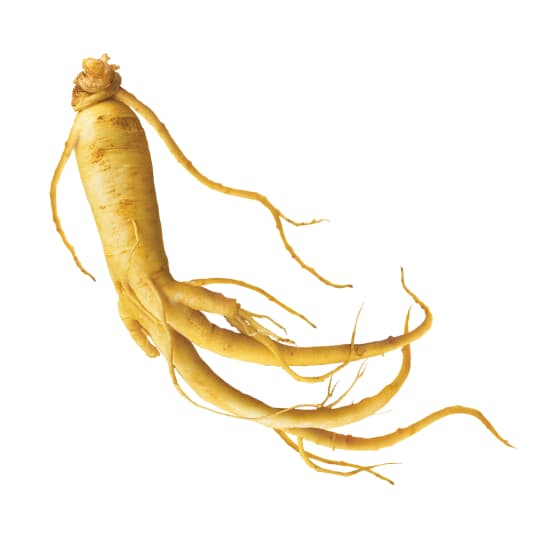 Tinh chất Nhân Sâm (Panax Ginseng Root Extract)