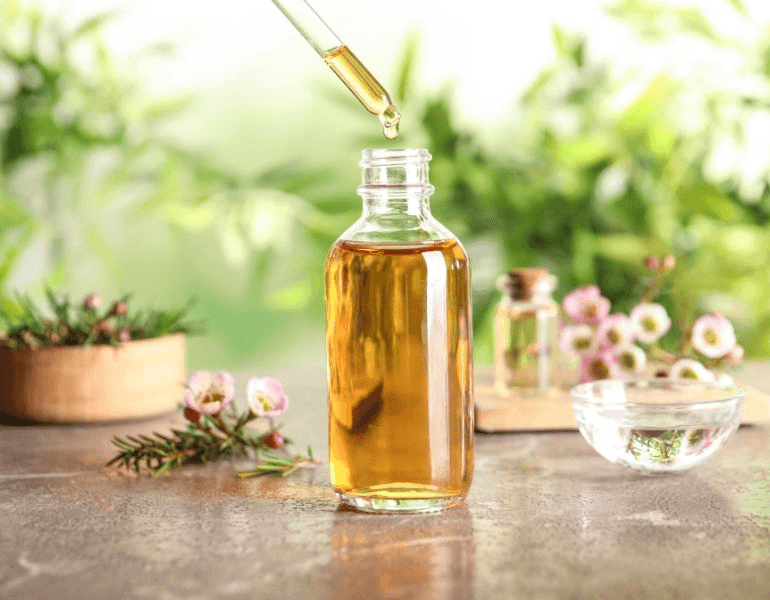 Tinh Dầu Tràm Trà Úc (Melaleuca Alternifolia Leaf Oil)