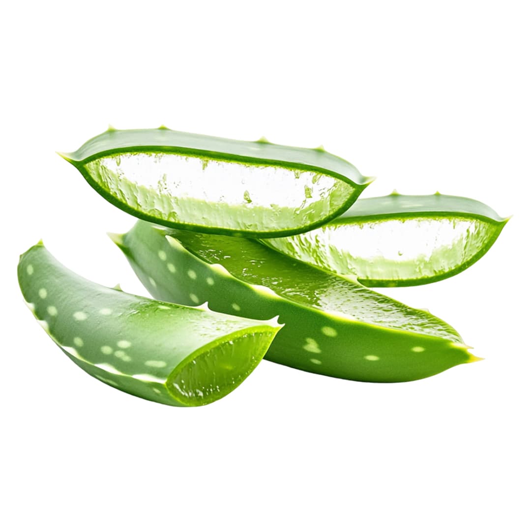 Tinh chất Lô Hội (Aloe Barbadensis Leaf Juice)