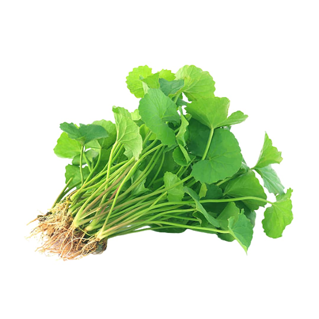 Chiết Xuất Rau Má & Trà Xanh