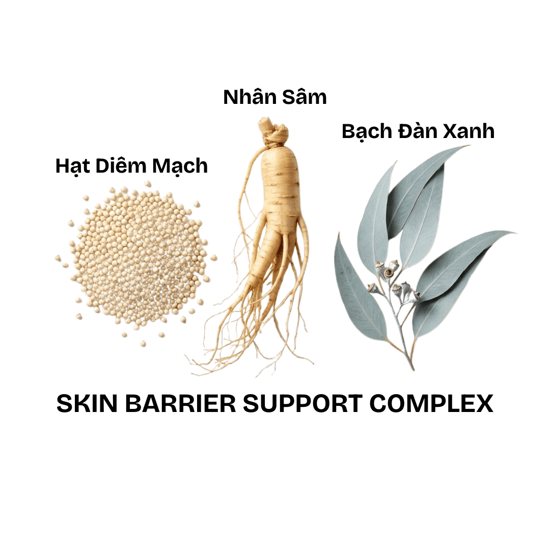 Skin Barrier Support Complex (Nhân Sâm, Hạt Diêm Mạch, Bạch Đàn Xanh)